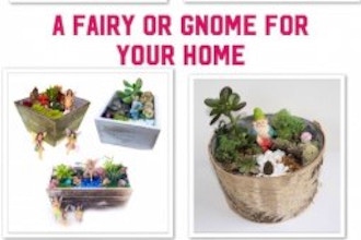 Plant Nite: Gnome & Fairy Pick-Your-Planter